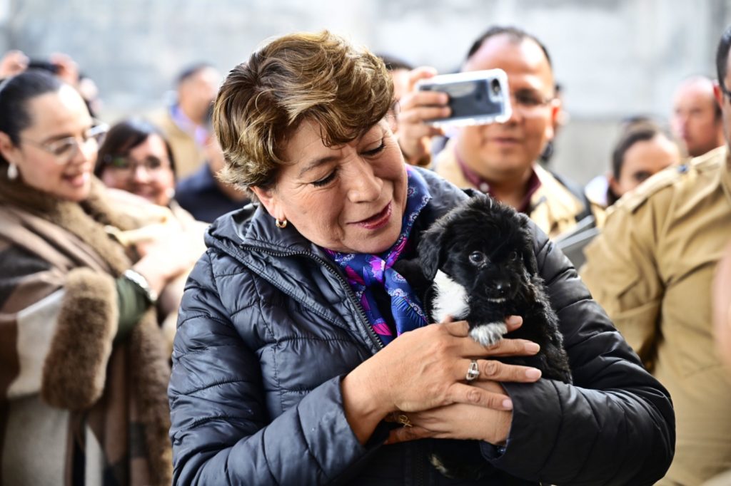 EdoMéx es pionero del Bienestar Animal; tenemos un legado de paz, afirma la Gobernadora Delfina Gómez en foro con seguridad y activistas