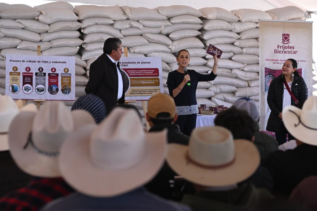 Presidenta anuncia acciones en Zacatecas: apoyos a productores de frijol
