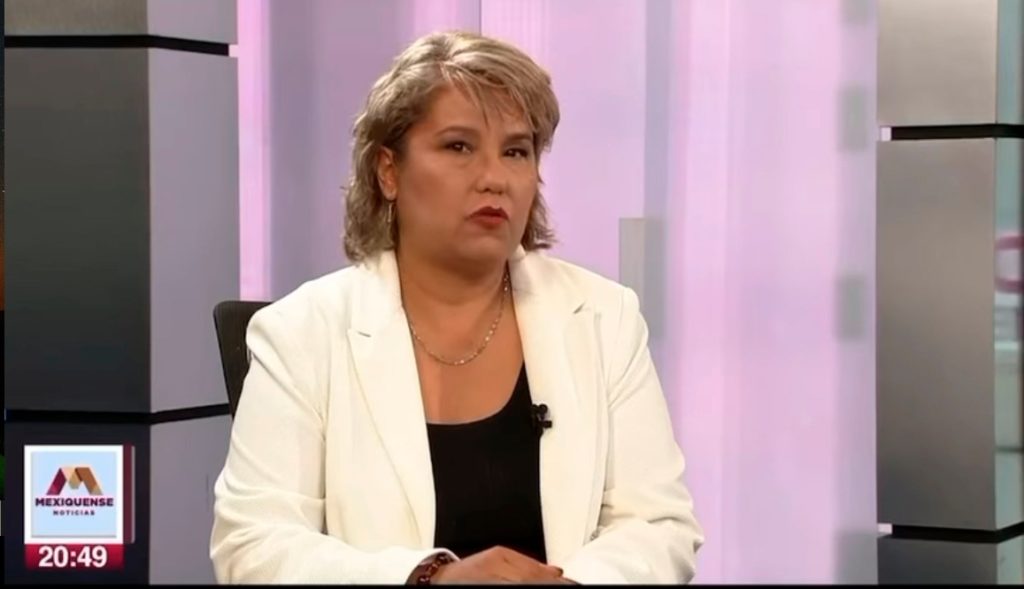 Morena construye un verdadero futuro sostenible para todos: LuzMa Hernández