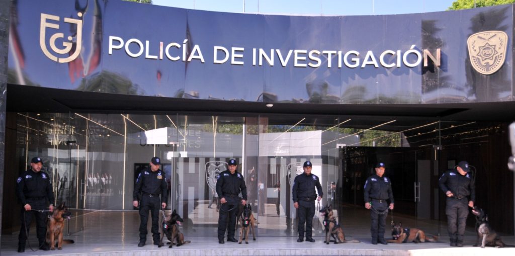 Fiscalía CDMX incorpora dos nuevos elementos caninos para tareas de investigación