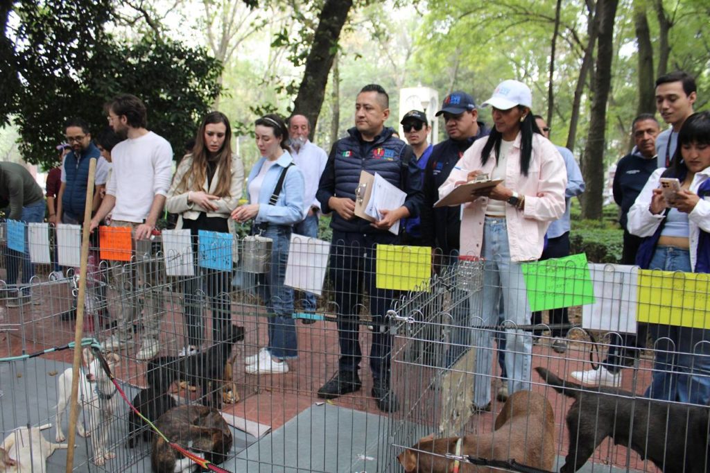 ALCALDÍA CUAUHTÉMOC VERIFICA CONDICIONES DE ADOPCIÓN EN PARQUE MÉXICO