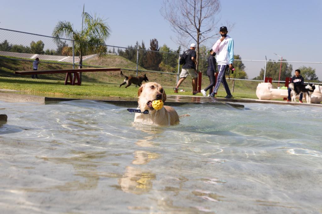 El Parque Canino, con Gran Aceptación Entre los Tecamaquenses