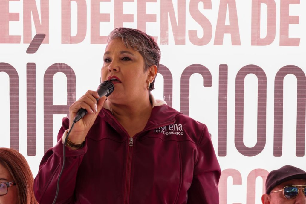 Celebramos que el TEPJF respete autonomía de los partidos, comités estatales hasta 2027: LuzMa Hernández Bermúdez