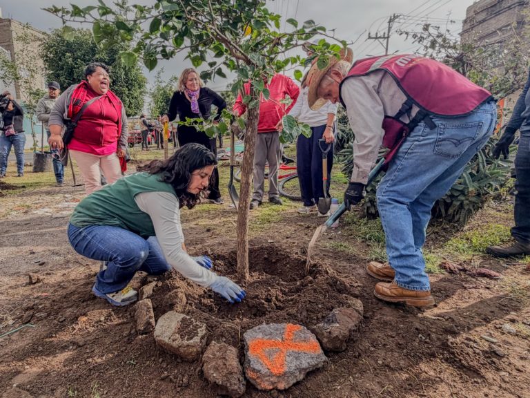 IMG-20260809-WA0272